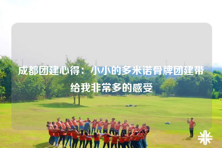 成都團(tuán)建心得：小小的多米諾骨牌團(tuán)建帶給我非常多的感受