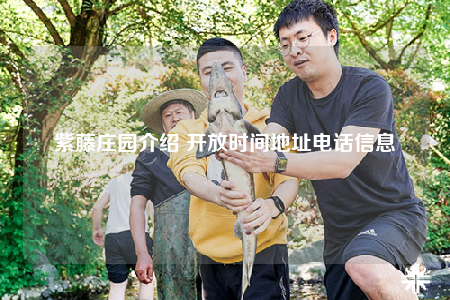 紫藤莊園介紹 開放時間地址電話信息