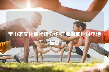 寶山茶文化博物館介紹 開放時間地址電話信息
