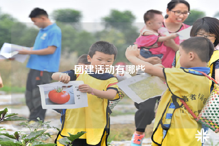 團(tuán)建活動(dòng)有哪些