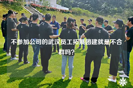 不參加公司的武漢員工拓展團建就是不合群嗎？