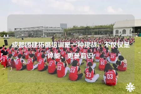 成都團建拓展培訓是一種挑戰(zhàn)，不僅僅是體能、更是意識