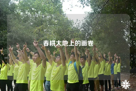 春耕大地上的畫卷