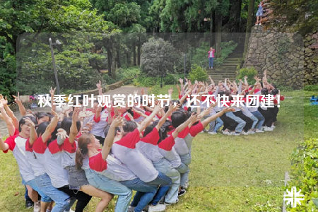 秋季紅葉觀賞的時節(jié)，還不快來團(tuán)建！