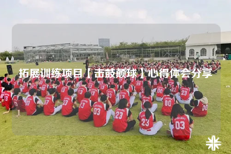 拓展訓(xùn)練項(xiàng)目【擊鼓顛球】心得體會(huì)分享