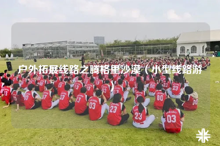 戶外拓展線路之騰格里沙漠(小型線路游)