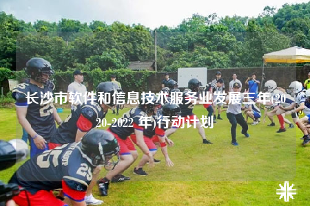 長(zhǎng)沙市軟件和信息技術(shù)服務(wù)業(yè)發(fā)展三年(2020-2022 年)行動(dòng)計(jì)劃