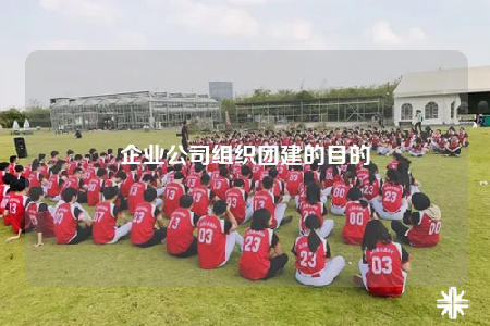 企業(yè)公司組織團(tuán)建的目的